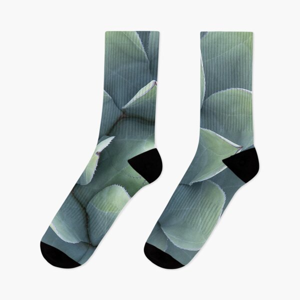 Item preview, Succulent designed and sold by SunnyDesignsCo.
