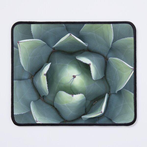 Item preview, Succulent designed and sold by SunnyDesignsCo.
