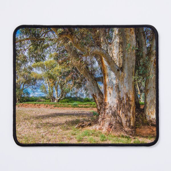 Item preview, Nature's Relics designed and sold by DVJPhotography.