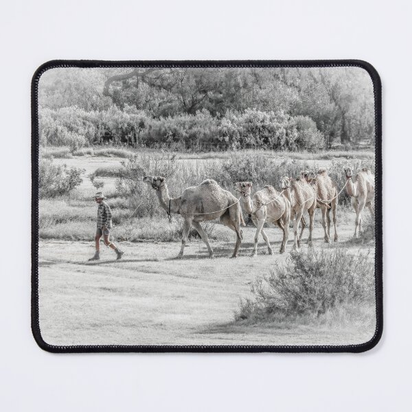 Item preview, Cameleer designed and sold by DVJPhotography.