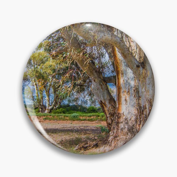 Item preview, Nature's Relics designed and sold by DVJPhotography.