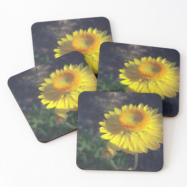 Item preview, Paper Daisy designed and sold by DVJPhotography.