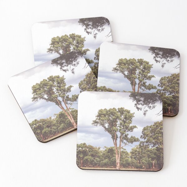 Item preview, Stately Eucalyptus Tree designed and sold by DVJPhotography.