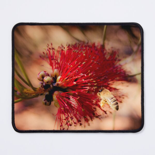 Item preview, Bee and Flower designed and sold by DVJPhotography.