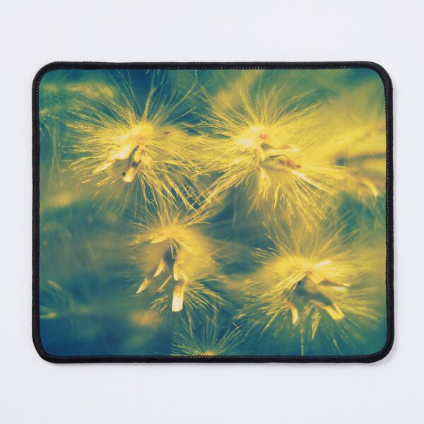 Item preview, Glow Thistle designed and sold by DVJPhotography.