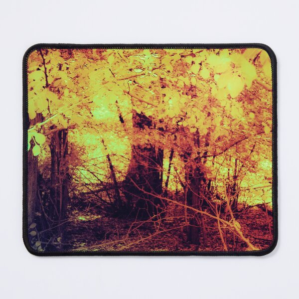 Item preview, Golden apple Trees designed and sold by DVJPhotography.