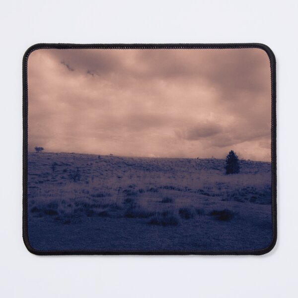 Item preview, Pine Tree designed and sold by DVJPhotography.