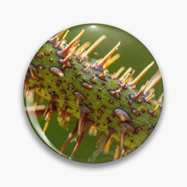 Item preview, Wild Thorns designed and sold by PhotosByFelix.