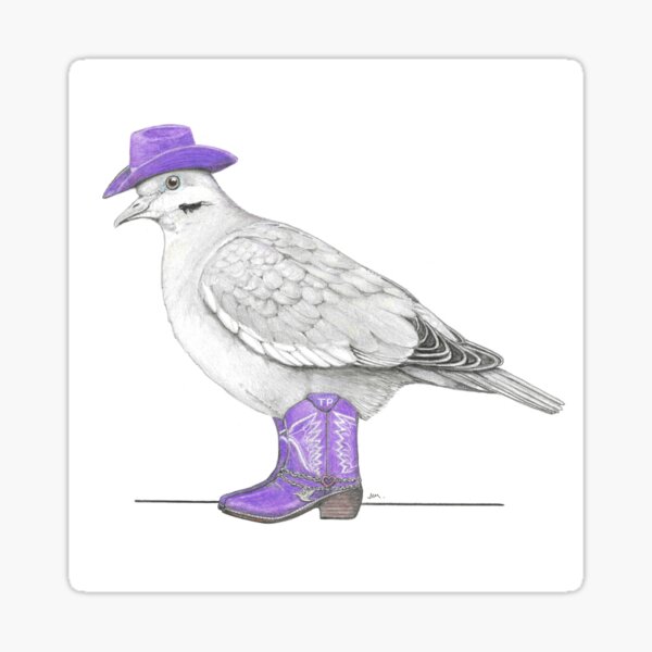 Item preview, Gray Dove in Short Cowgirl Boots designed and sold by JimsBirds.