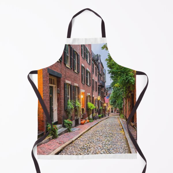 Item preview, Acorn Street, Boston, Massachusetts designed and sold by newburyboutique.