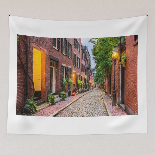 Item preview, Acorn Street, Boston, Massachusetts designed and sold by newburyboutique.