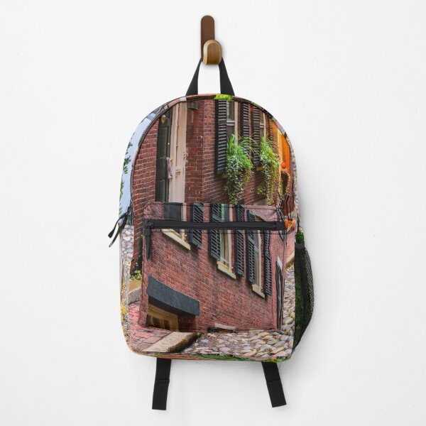 Item preview, Acorn Street, Boston, Massachusetts designed and sold by newburyboutique.