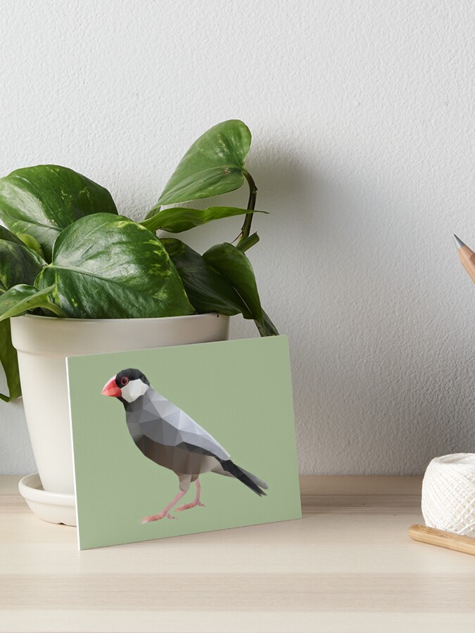 Java Sparrow polygon art Art Board Print for Sale by