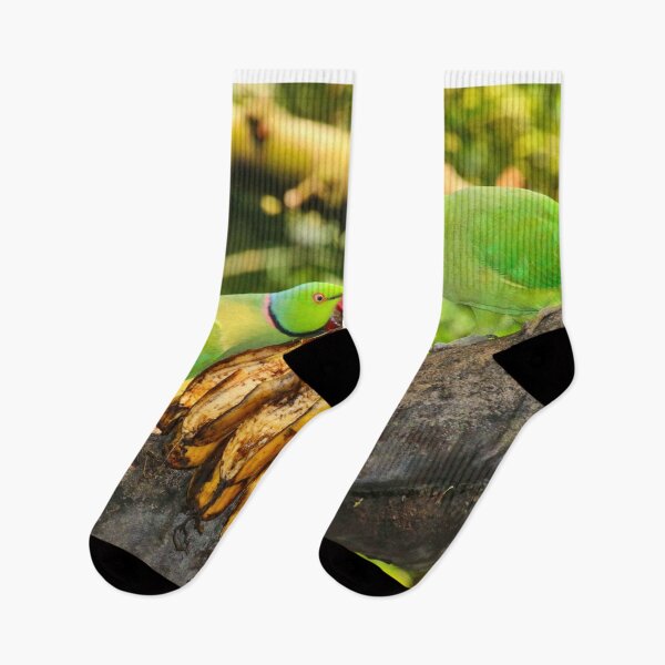 Item preview, Rose-ringed parakeets eating bananas at the zoo designed and sold by FranWest.