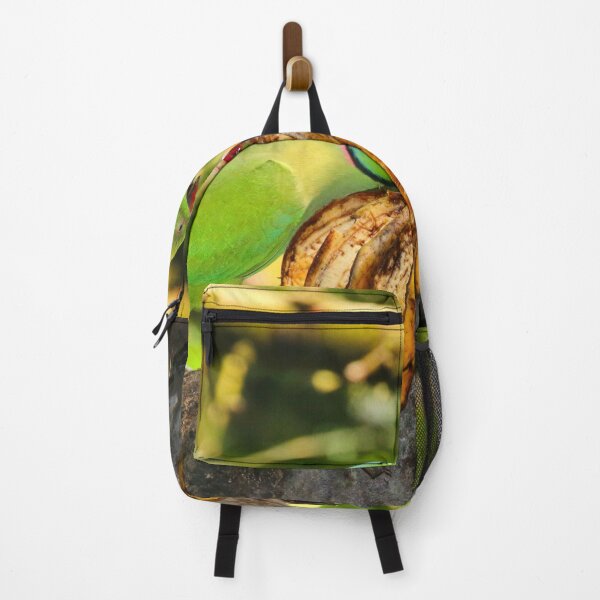 Item preview, Rose-ringed parakeets eating bananas at the zoo designed and sold by FranWest.