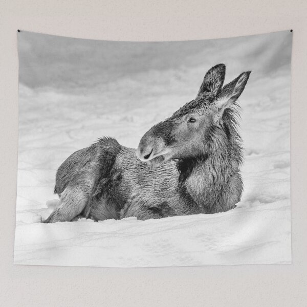 Item preview, Baby Moose relaxing on snow designed and sold by Alius Imago.