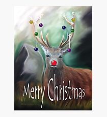 Rudolph Photographic Print