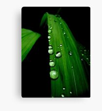 On the Edge Canvas Print