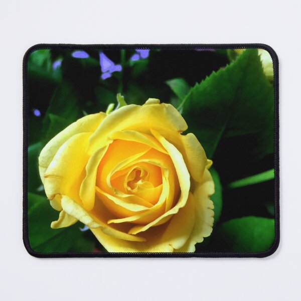 Item preview, Yellow sunshine rose  designed and sold by ginnymac.