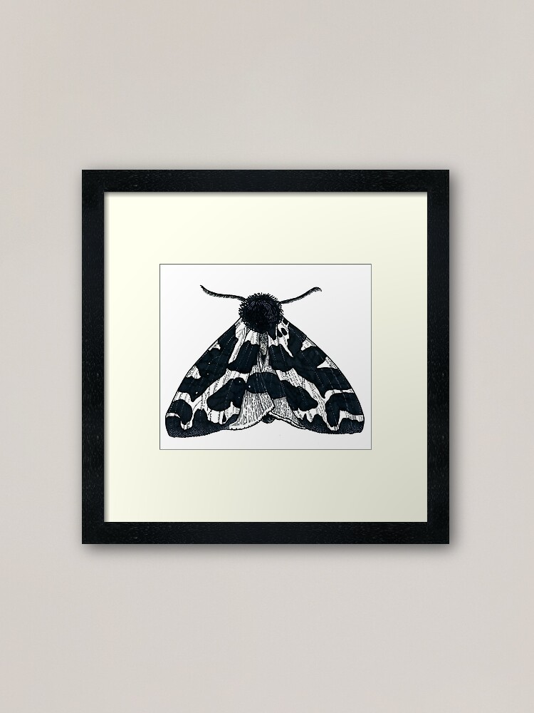 Garden Tiger Moth Framed Art Print By Flowers4art Redbubble