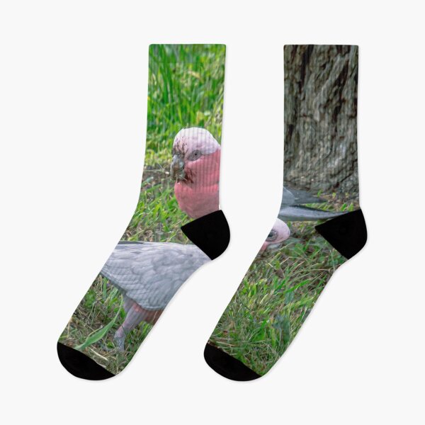 Item preview, Pair of Gallahs designed and sold by Steven Jodoin.