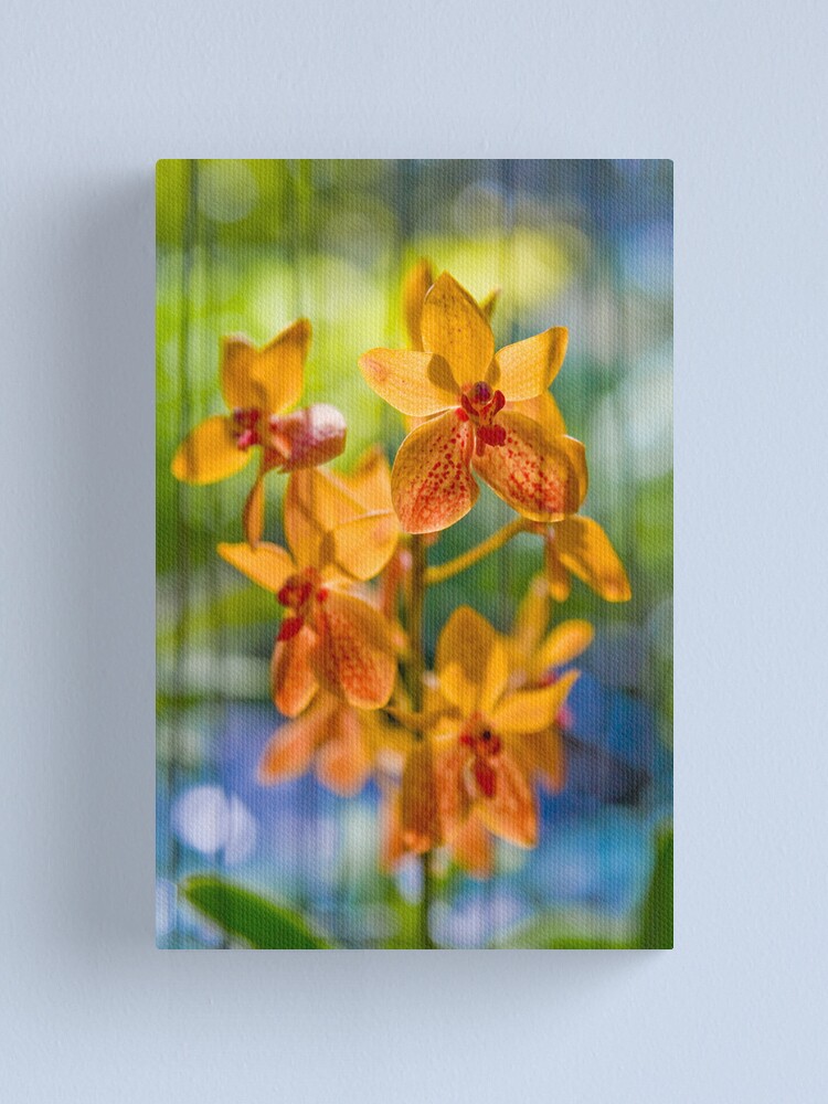 Alternate view of Orchidees flottantes Canvas Print