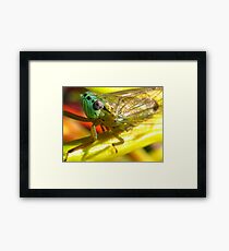 pretty face Framed Print