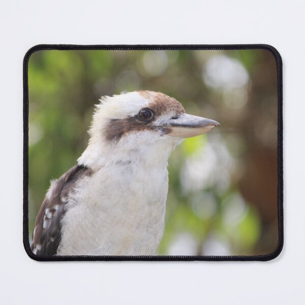 Item preview, Kookaburra designed and sold by Linda Sijpkes.