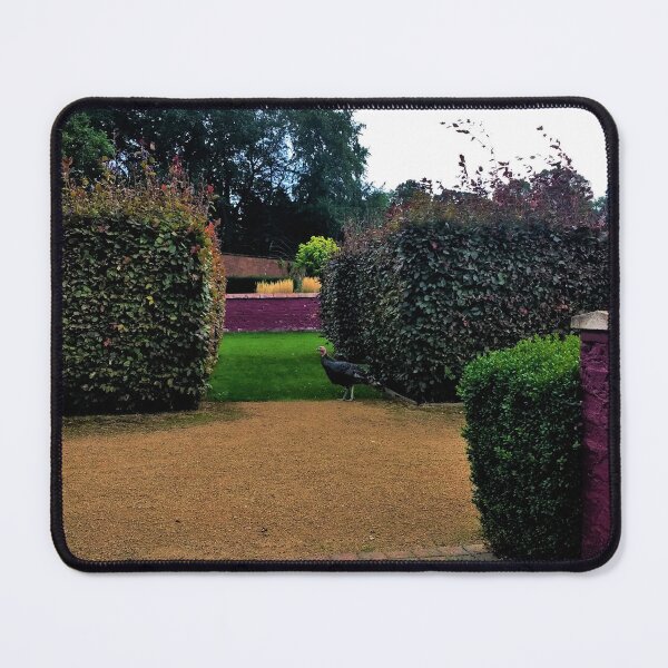 Item preview, #155 |☼| Bird Between Bushes (Elsham Hall, Gardens & Country Park) designed and sold by Naean H.F. (Nez Man).