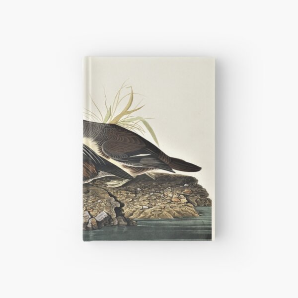 Audubon Hooded Marganser Hardcover Journal