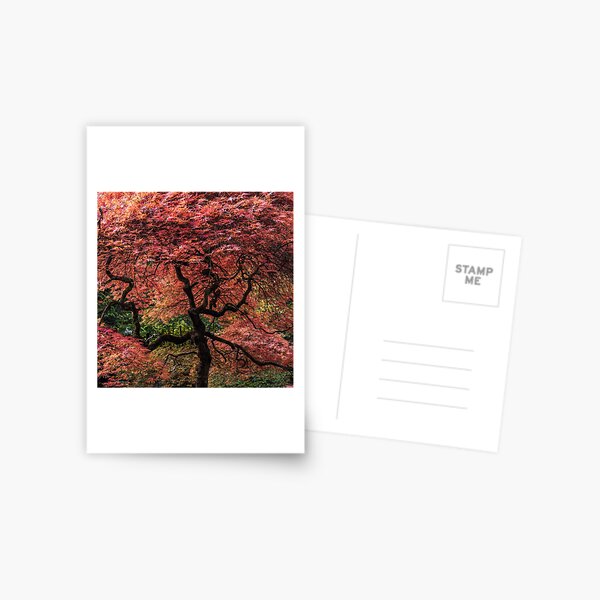 Item preview, Autumn Tree designed and sold by Dream Stellina.