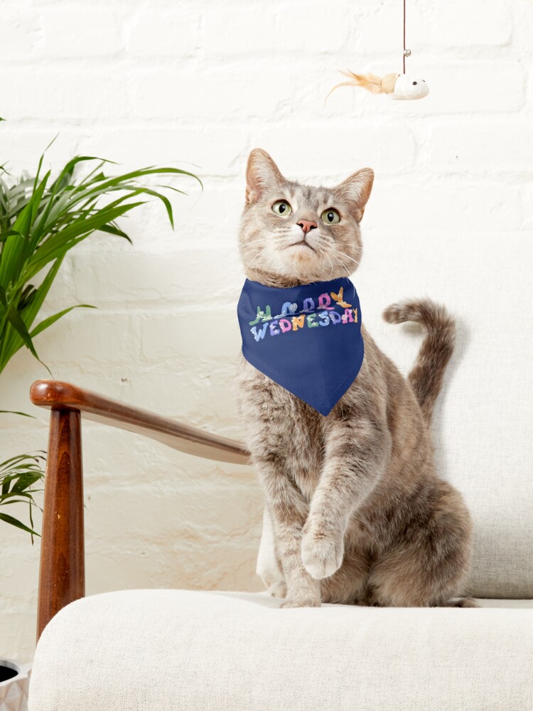 Happy Fish Bandana for Cats and Other Pets -  Hong Kong