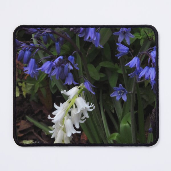 Item preview, Whitebells and Bluebells designed and sold by wiggyofipswich.
