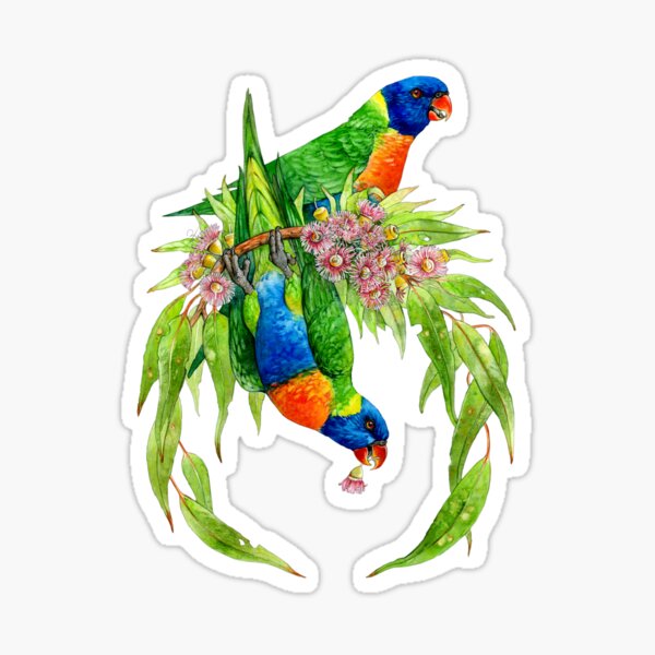 Rainbow Lorikeets Sticker