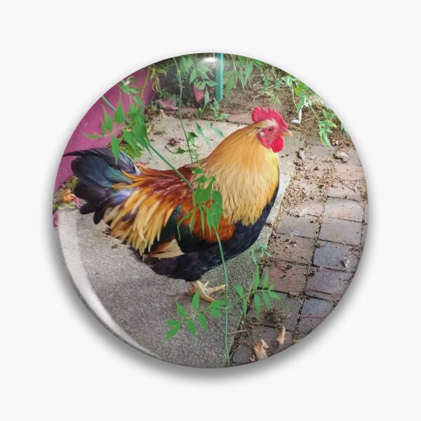 Item preview, #156 |☼| Chicken (Elsham Hall, Gardens & Country Park) designed and sold by Naean H.F. (Nez Man).