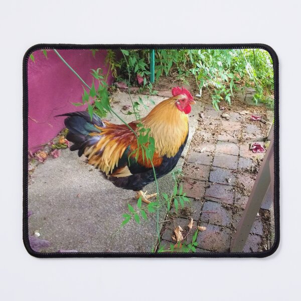 Item preview, #156 |☼| Chicken (Elsham Hall, Gardens & Country Park) designed and sold by Naean H.F. (Nez Man).