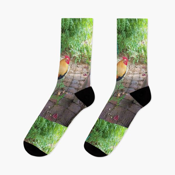 Item preview, #156 |☼| Chicken (Elsham Hall, Gardens & Country Park) designed and sold by Naean H.F. (Nez Man).