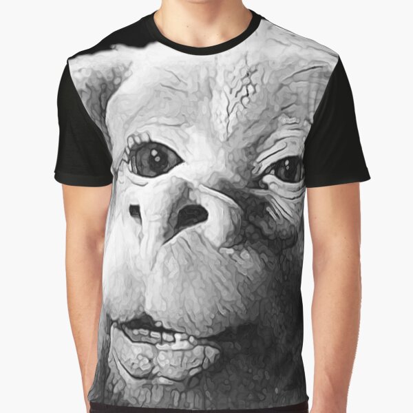 Falkor The Luck Dragon From The Neverending Story Design Graphic T-Shirt