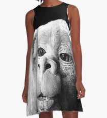 Falkor The Luck Dragon From The Neverending Story Design A-Line Dress