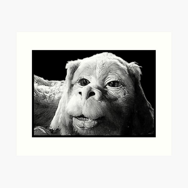 Falkor Der Glücksdrache aus der unendlichen Geschichte Design Kunstdruck