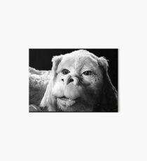 Falkor The Luck Dragon From The Neverending Story Design Art Board