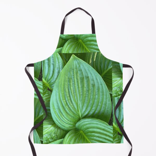 Artikelvorschau, Wunderschönes Hosta plantaginea-Blatt - grüne Perfektion und Harmonie entworfen und verkauft von marielhvc.