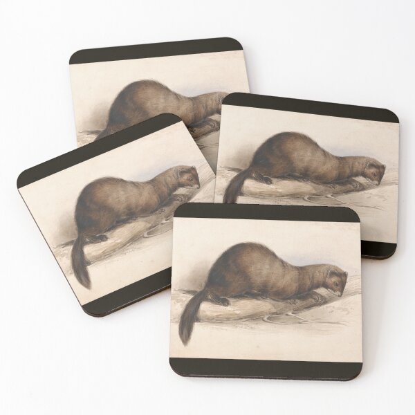 Item preview, A Weasel by Edward Lear  designed and sold by Amanda1775.