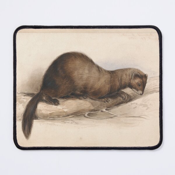 Item preview, A Weasel by Edward Lear  designed and sold by Amanda1775.