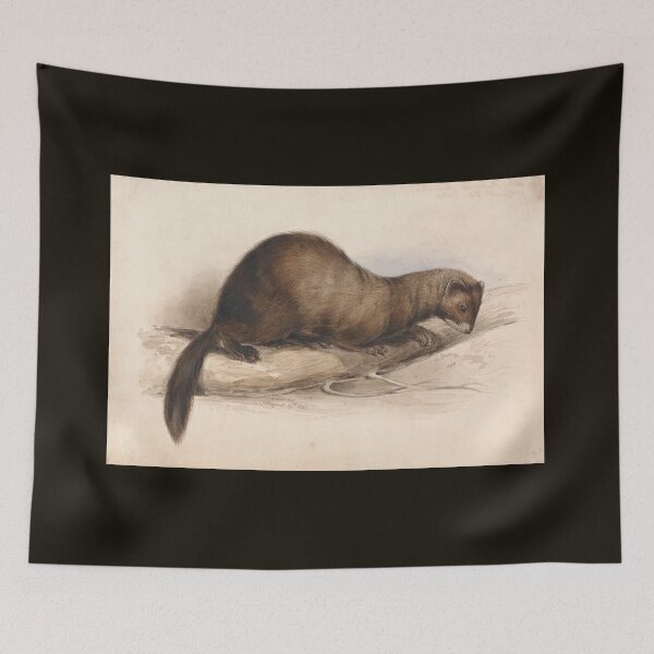 Item preview, A Weasel by Edward Lear  designed and sold by Amanda1775.