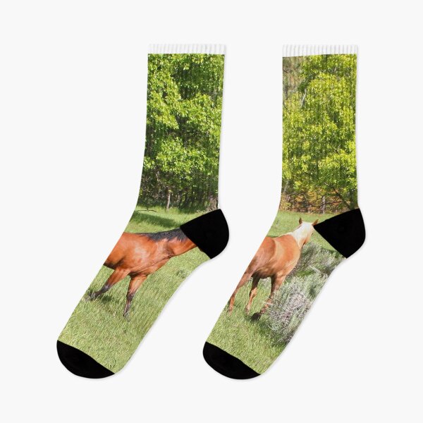 Item preview, Two horses in the field, Colorado designed and sold by FranWest.