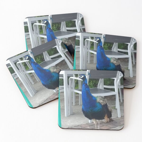 Item preview, #157 |☼| Peacock / Peafowl (Elsham Hall, Gardens & Country Park) designed and sold by Naean H.F. (Nez Man).