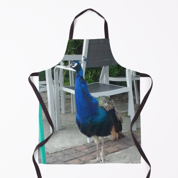 Item preview, #157 |☼| Peacock / Peafowl (Elsham Hall, Gardens & Country Park) designed and sold by Naean H.F. (Nez Man).