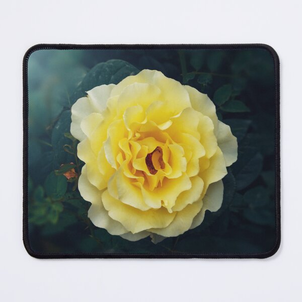 Item preview, Yellow Rose designed and sold by mrhighsky.