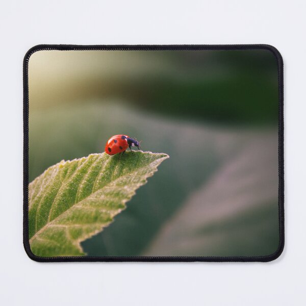 Item preview, Ladybird on a Leaf designed and sold by mrhighsky.